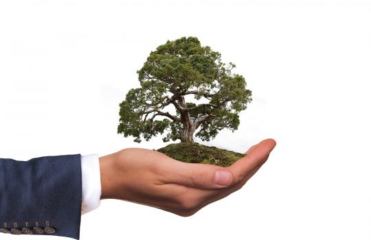 environment-2948299_1920.jpg