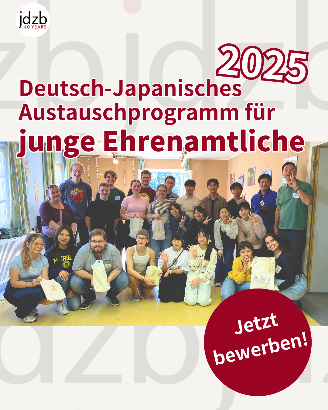 AUsschreibung_DJJA_Ehrenamtliche